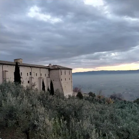 Santa Chiara אסיסי
