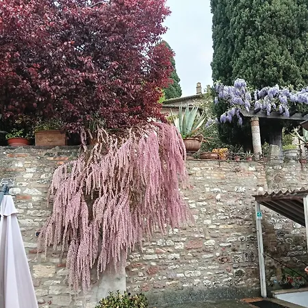 Apartament Santa Chiara