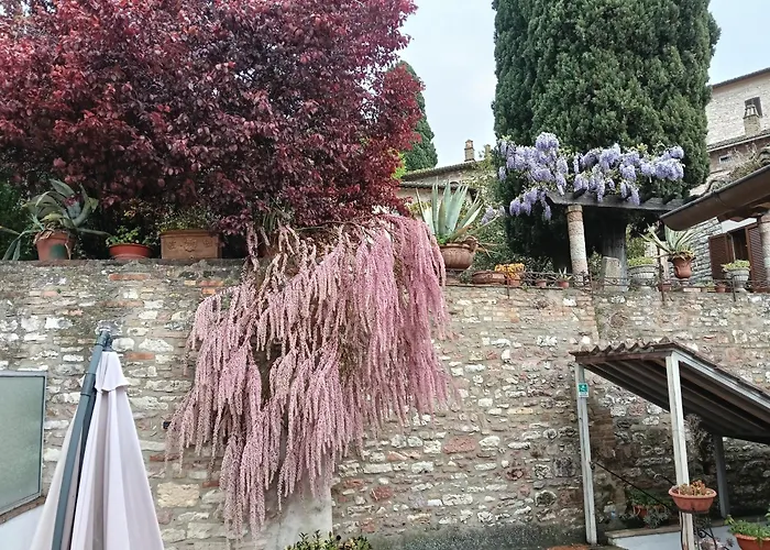 Apartment Santa Chiara